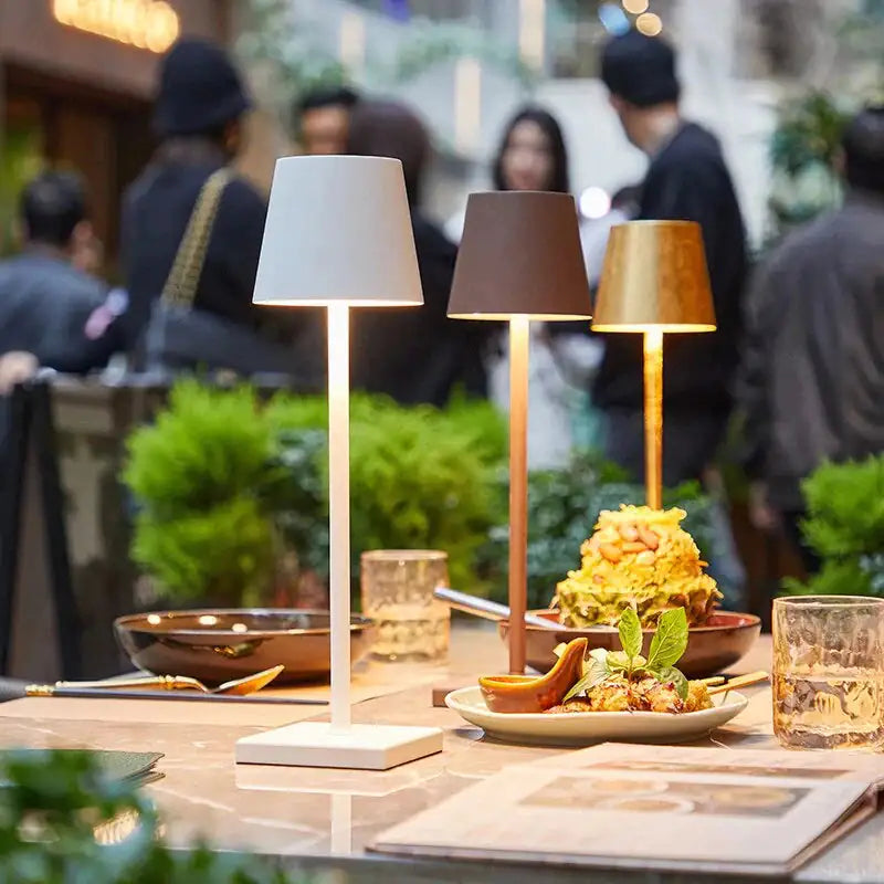 Stylish Cordless Lamp